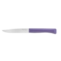 Opinel 002191 - 11cm Stainless Steel Bon Appetit Table/Steak Knives (Box of 12 with Violet Handles)