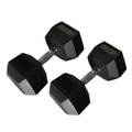 55lbs x 2 Hex Rubber Coat Iron Dumbell Strength Weight Training Commercial Grade