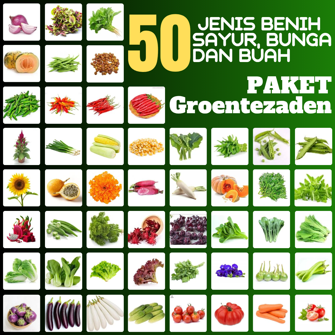 paket 30 jenis benih bibit biji sayur bunga dan juga buah