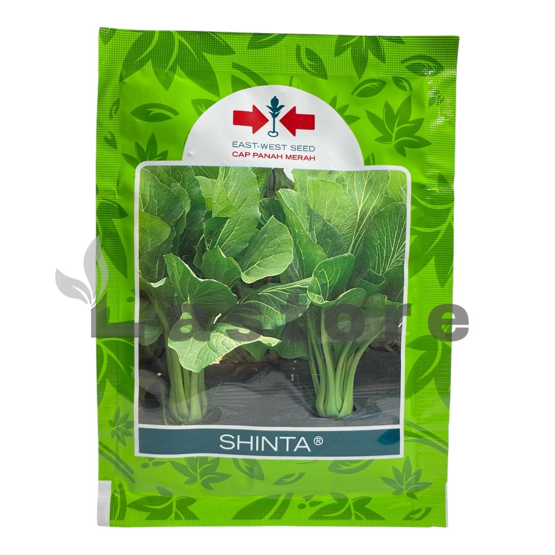 Benih Caisim SHINTA Isi 25 gram Cap Panah Merah