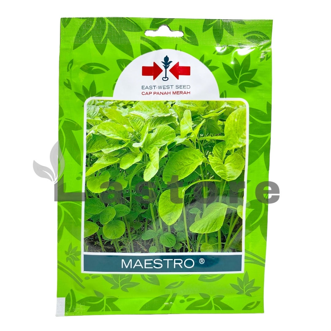 Benih Bayam Hijau MAESTRO Isi 26000 Butir Cap Panah Merah