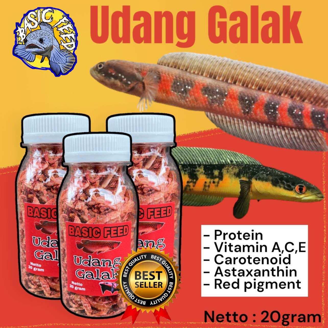 BASIC FEED udang galak 20gram red pigment untuk pakan ikan channa red sampit red barito red sentarum