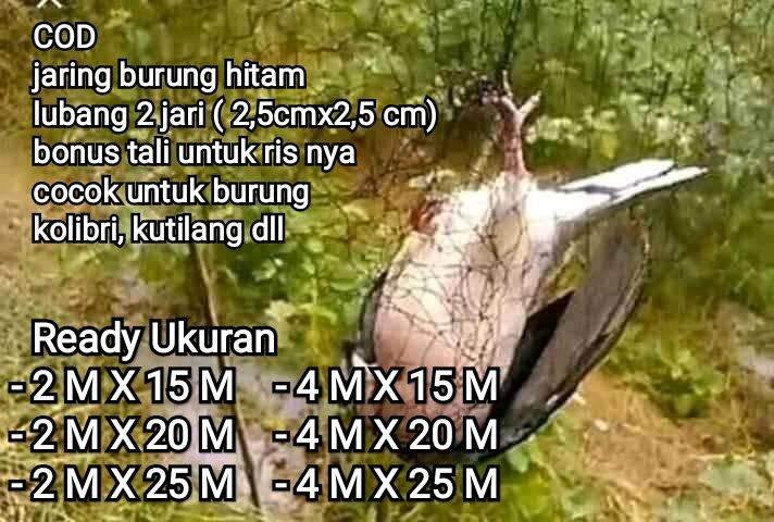 jaring burung hitam lubang 2 jari longgar cocok untuk kutilang kolibri trucukan dll ukuran tinggal pilih