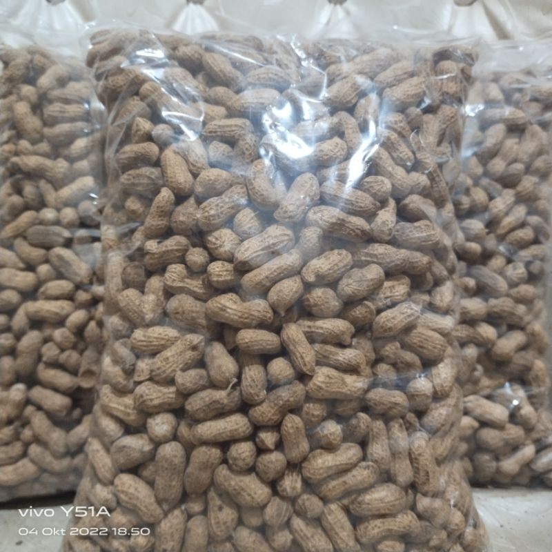 Kacang kulit sangrai Madura 1kg