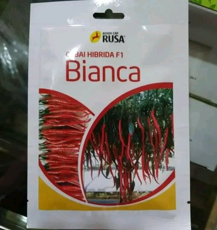 Benih bibit Cabe Keriting Bianca F1 10 gram original