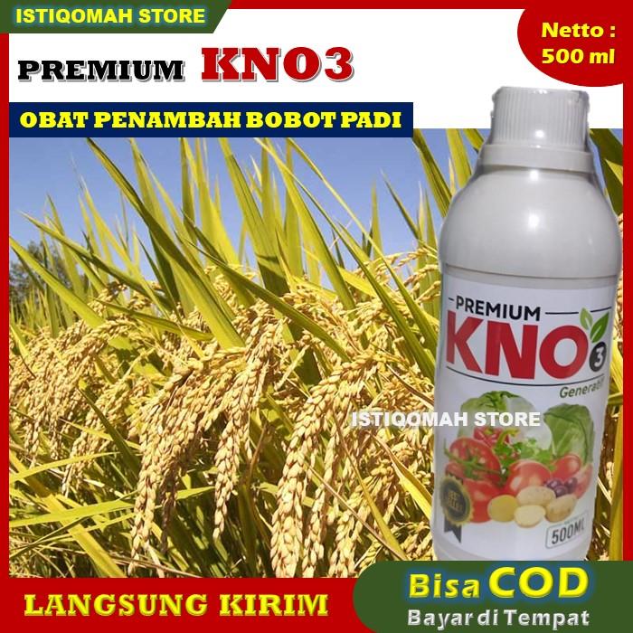 PREMIUM KNO3 500ML Obat Pengisian Bulir Padi - Obat Bulir Buah Padi - Obat Padi Obat Buah Padi - Obat Penambah Bobot Padi - Obat Buah Padi Ber Bobot - Obat Penambah Berat Padi - Obat Semprot Padi yang Bagus Ampuh