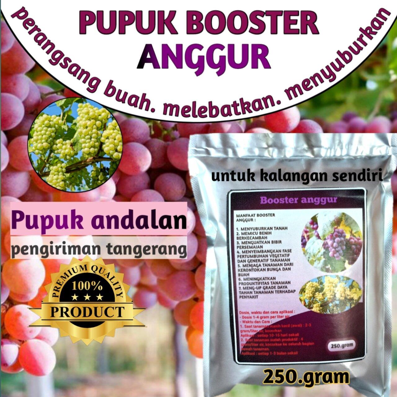 pupuk booster anggur | pupuk organik perangsang buah | melebatkan buah menyuburkan tanah dan tanaman