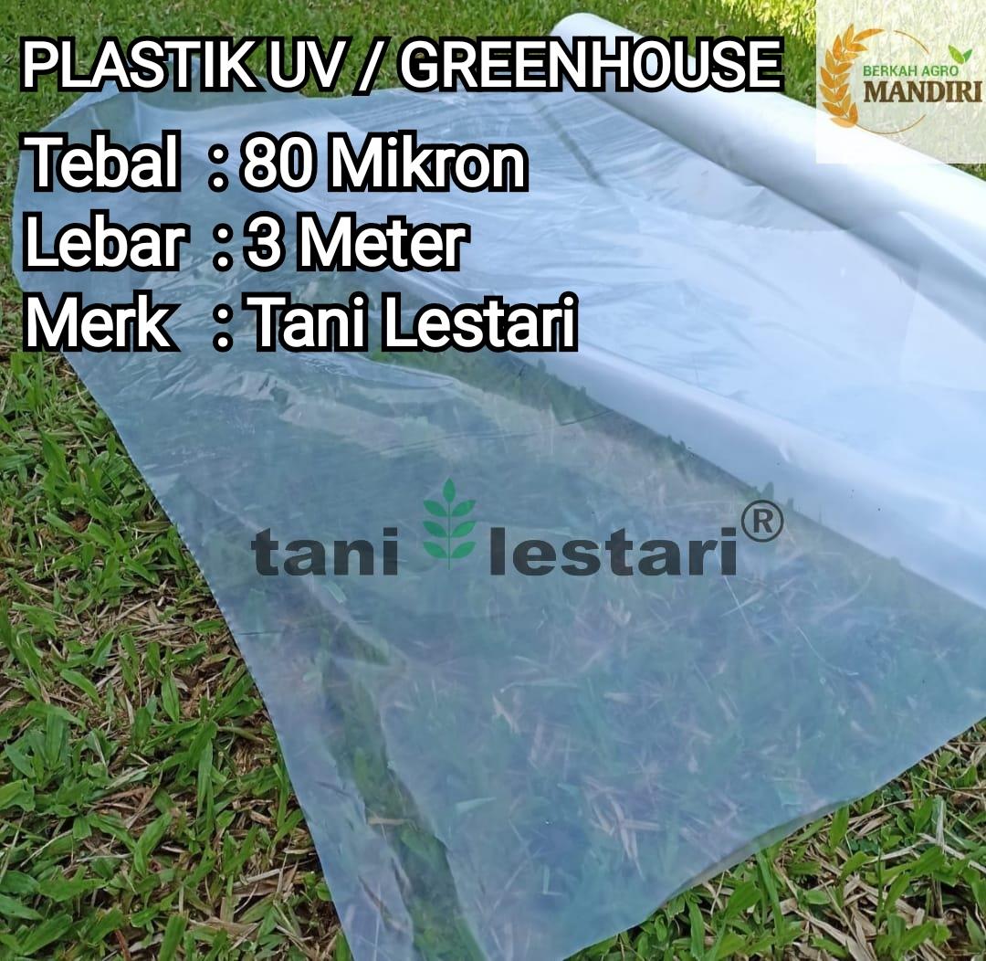 PLASTIK UV GREENHOUSE LEBAR 3 METER TEBAL 80 MIKRON TANI LESTARI