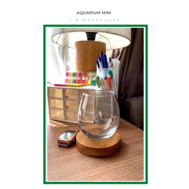 PAKET KOMPLIT Aquarium mini cupang Guppy atau ikan kecil lainnya