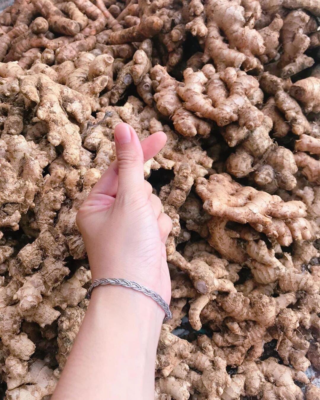 JAHE EMPRIT SUPER PEDAS 1KG CUCI BERSIH