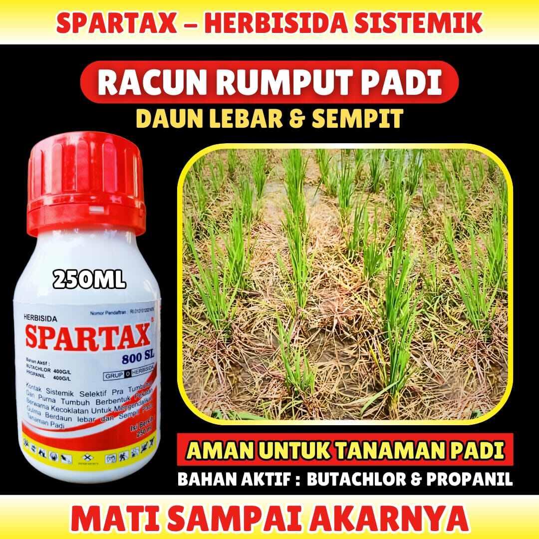 spartax