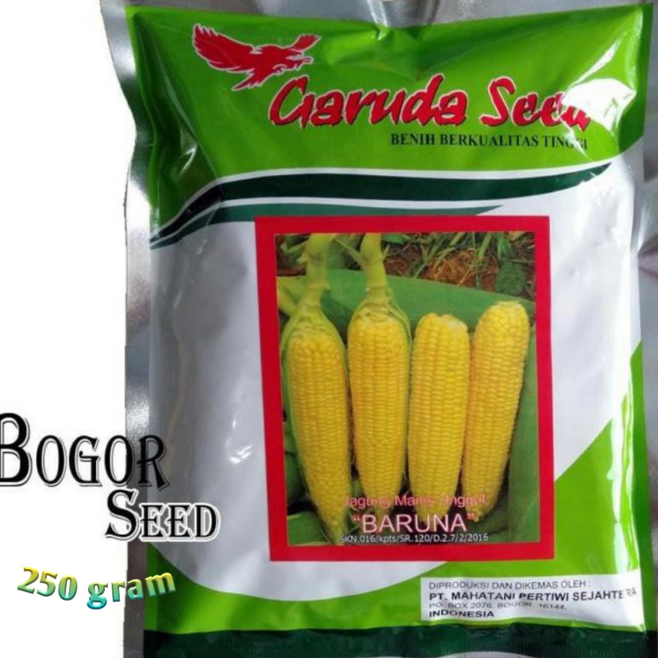 CODIsi ± 1750 Biji Bibit Benih Jagung Manis BARUNA 250gram BIG001