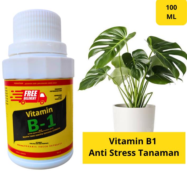Vitamin B1 Tanaman 100ml/Pupuk Aglonema/Tanaman Hias/Buah / Vitamin B1 untuk Tanaman
