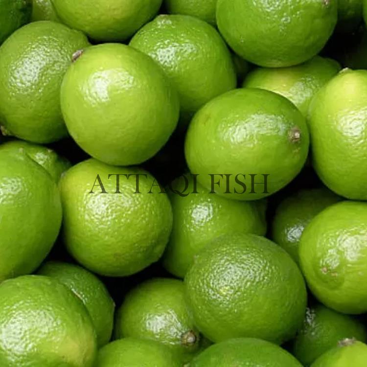 Jeruk Nipis Fresh 1 KG Murah