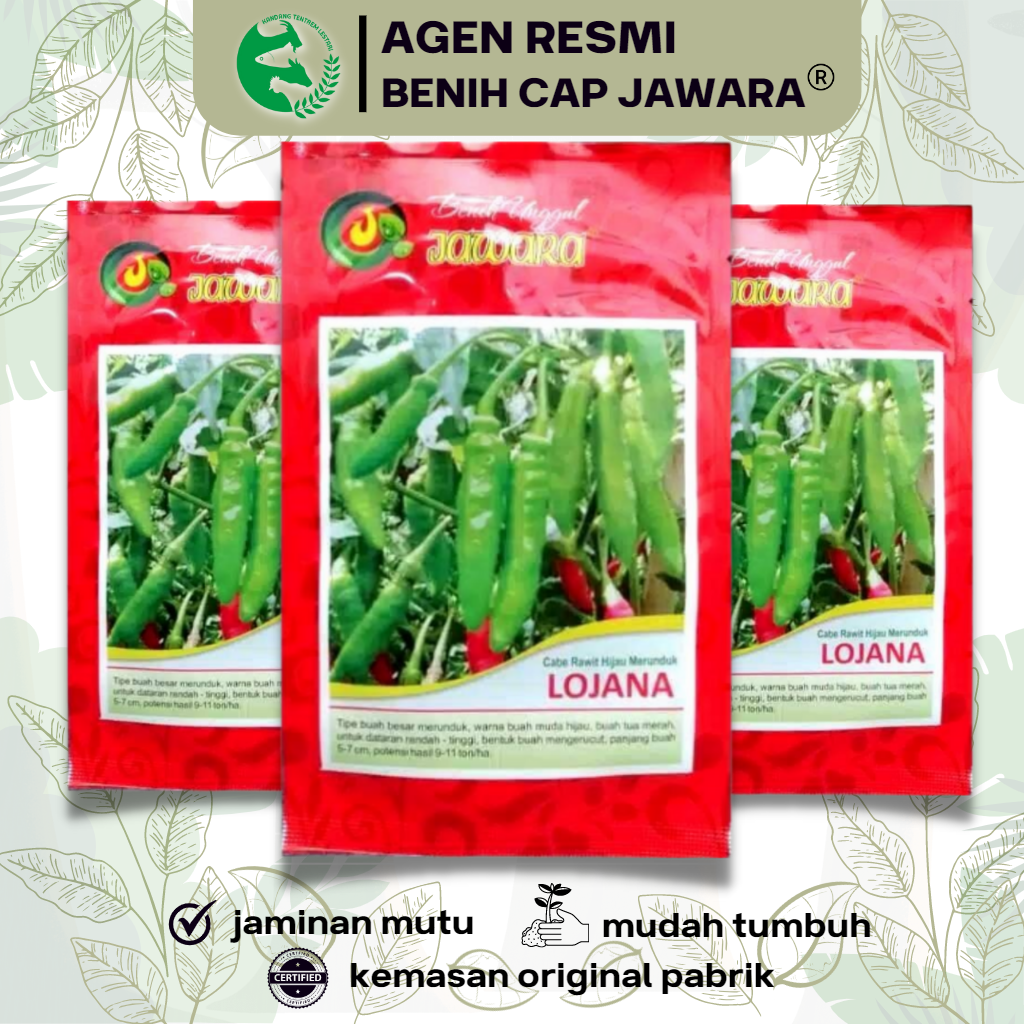10 gram Benih Cabe Rawit Hijau LOJANA Kemasan Asli JAWARA