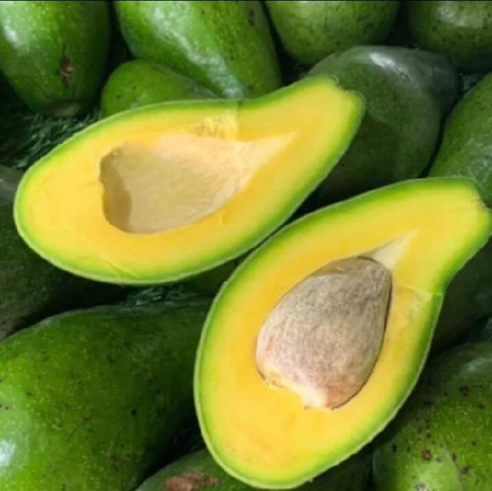 Alpuket mentega tua kuning 1kg isi 4-5-6 Buah Di kirim mentah pengiriman aman menggunakan Dus