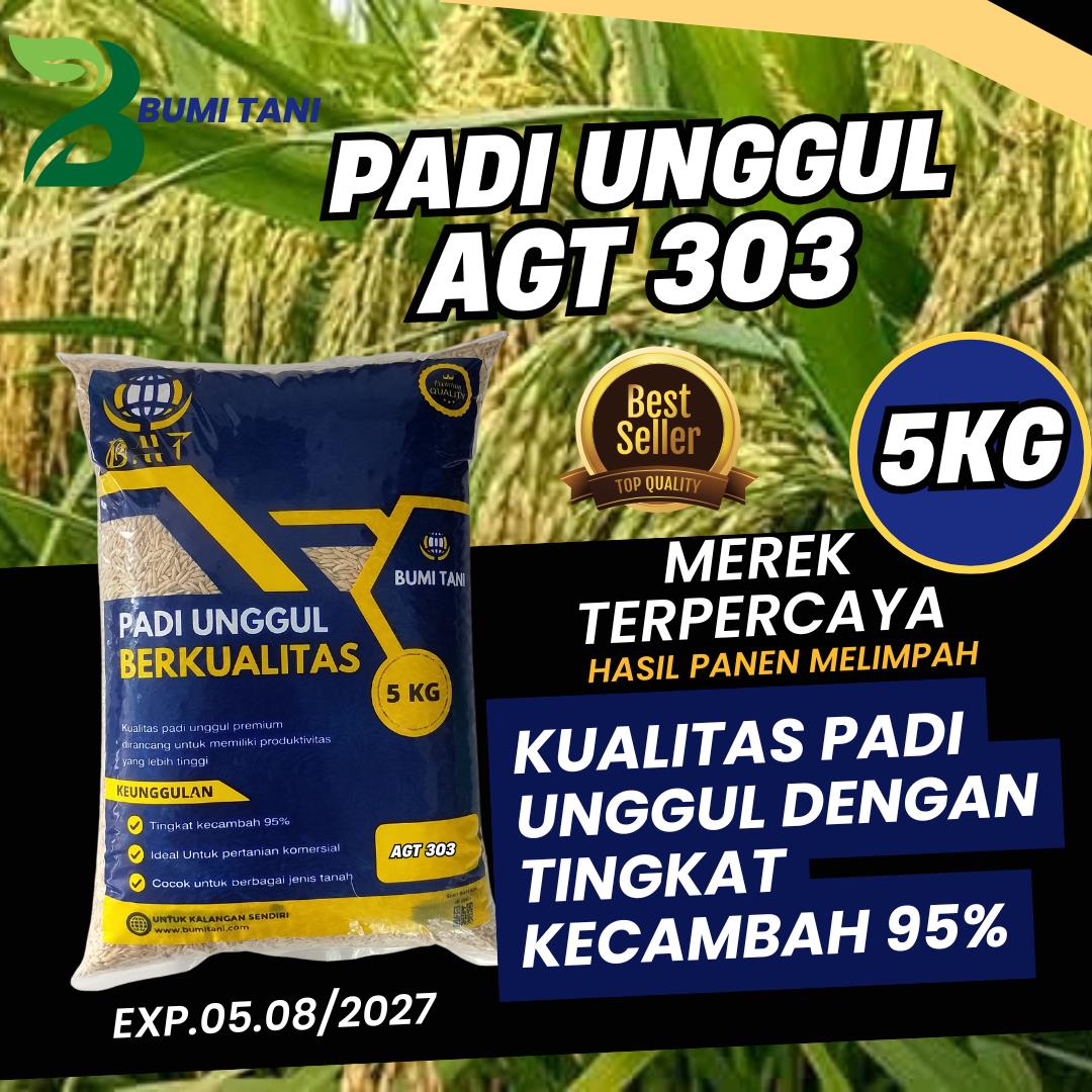 Benih padi AGT 303 Padi Galur unggul kemasan 5 kg terbaru