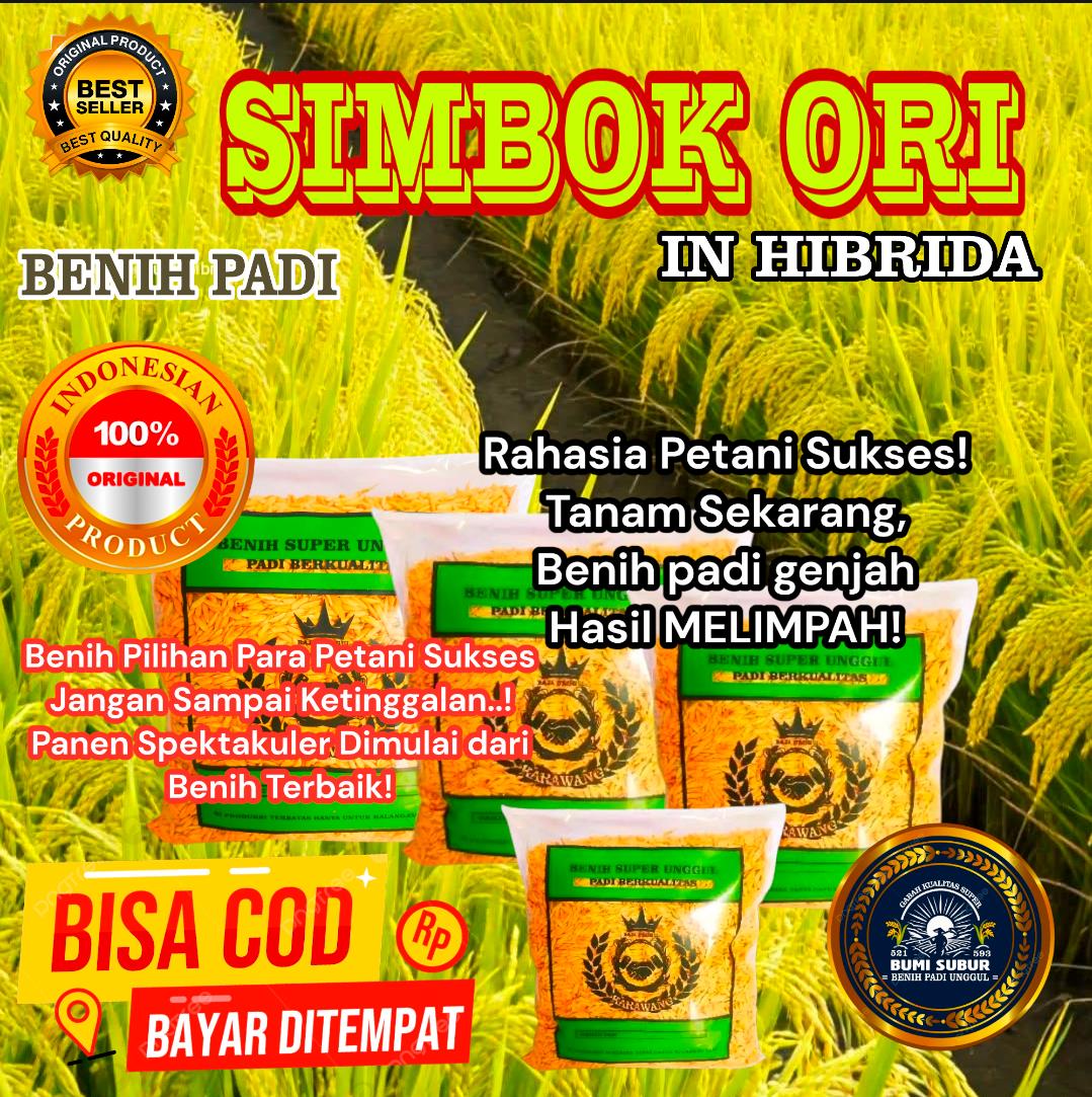 ( 5 kg ) BENIH BIBIT PADI SIMBOK SUPER ISTIMEWA GABAH KUALITAS UNGGUL IN HIBRIDA GENJAH HASIL MELIMPAH