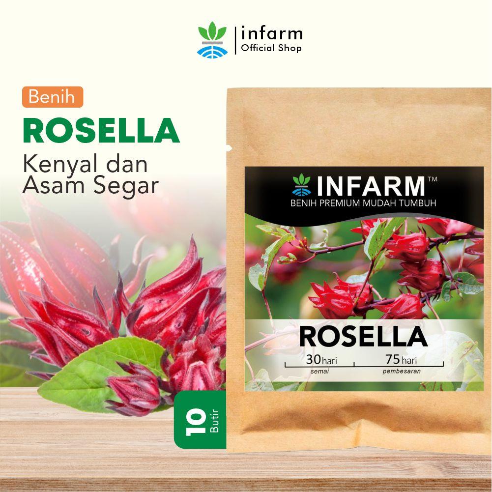 INFARM - Benih Super Bunga Rosella Bibit Benih Tanaman Bunga Rosella Biji Super Bunga Rosella Benih Bunga Rosella