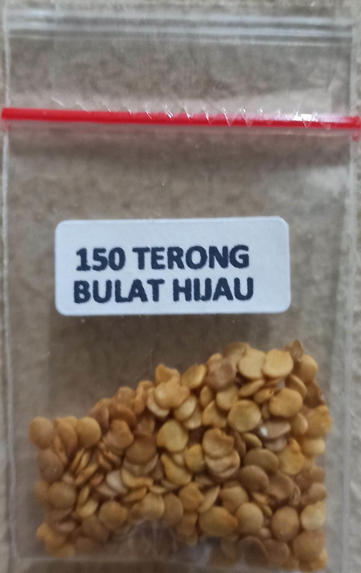 BIJI/BENIH TERONG LALAP BULAT HIJAU KENARI f1