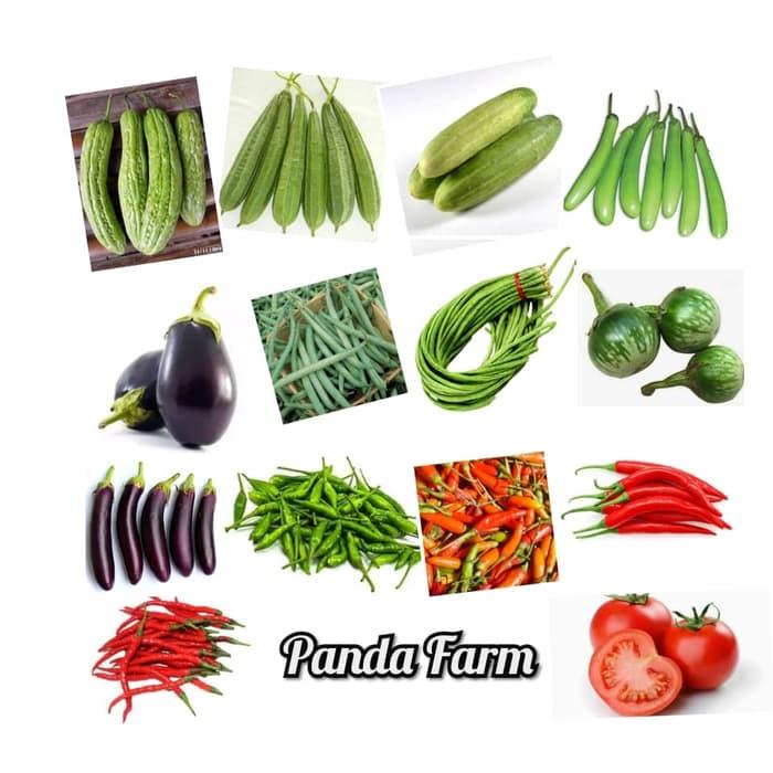 Paket Hemat 14 Benih Sayuran Buah Super Murah