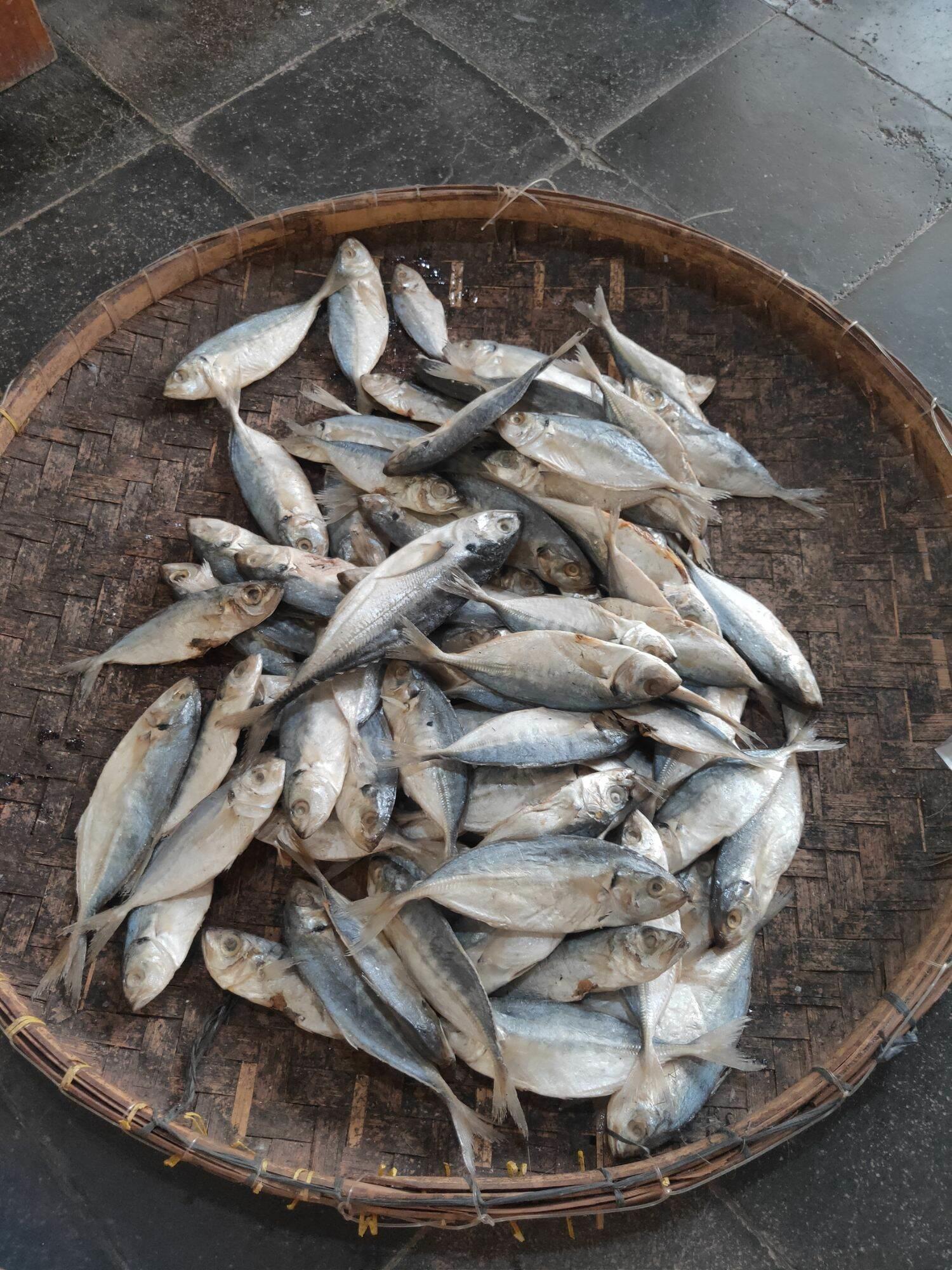 Olahan Ikan Asin Campuran Isi 1Kg Enak Gurih Lezatt Halal Ikan Asin Gesek Khas Tegal #ikanasin #Gesek #ikanlaut