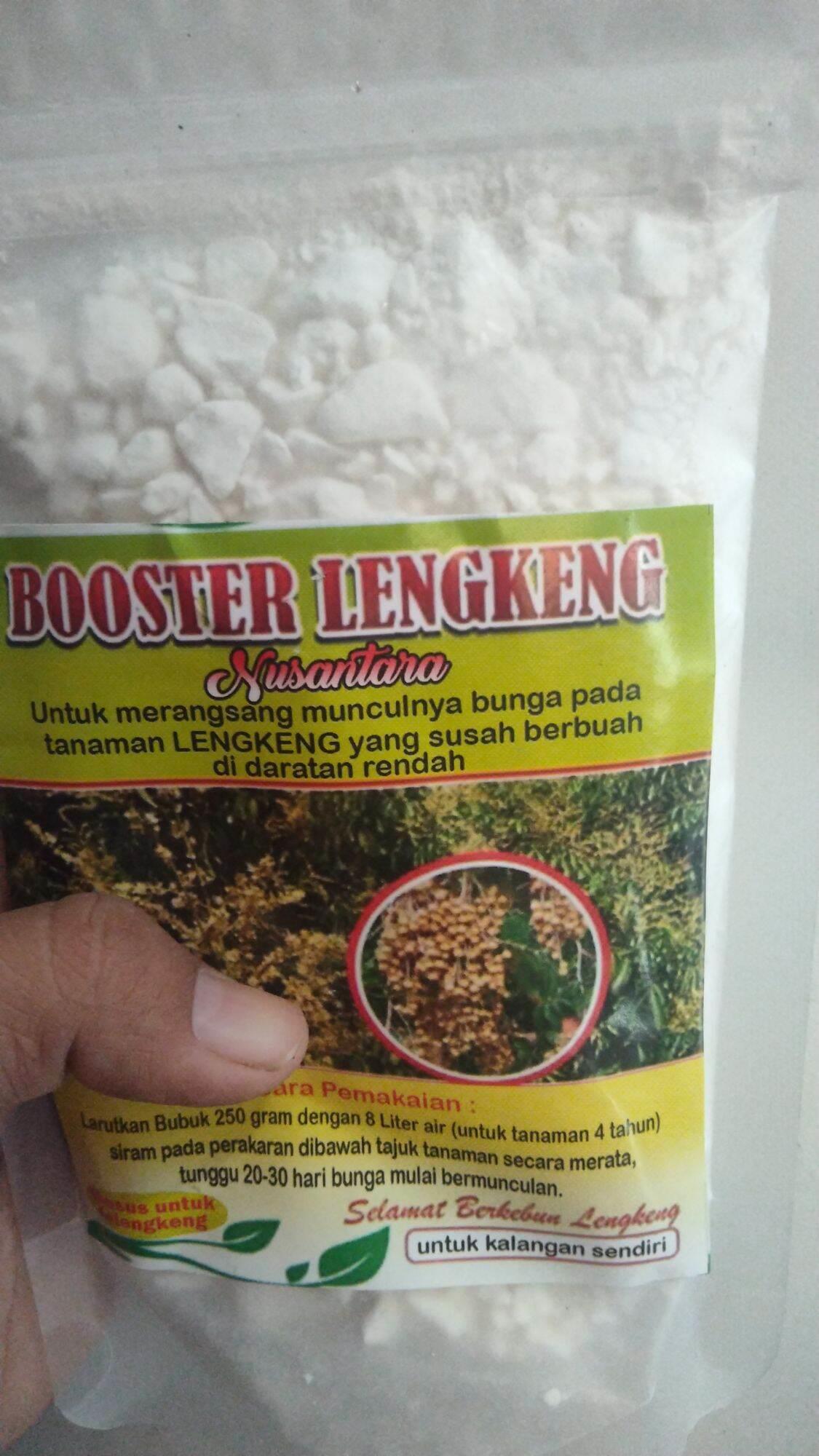 Boster kelengkeng kclo3 100 gram serbuk murni non opl0s