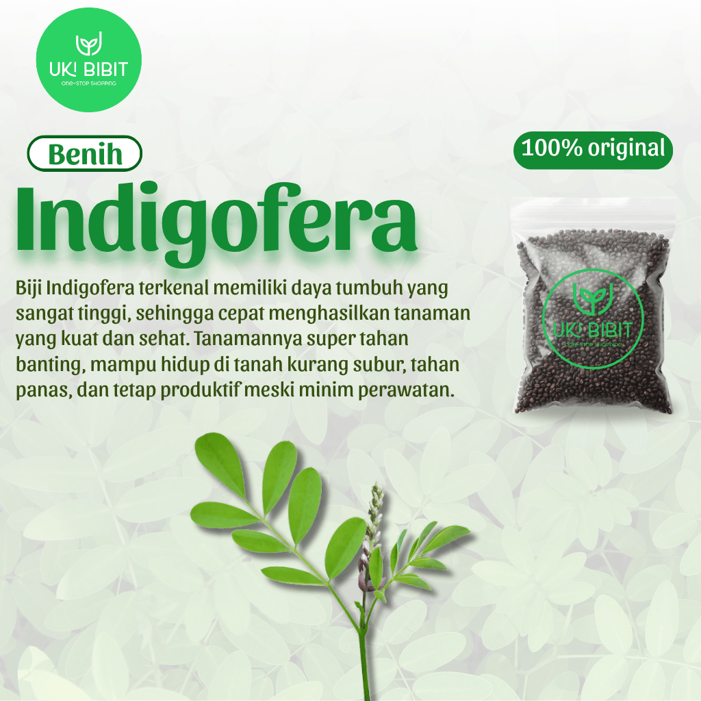 ( 80 Butir ) Benih Biji Indigofera Pakan Ternak