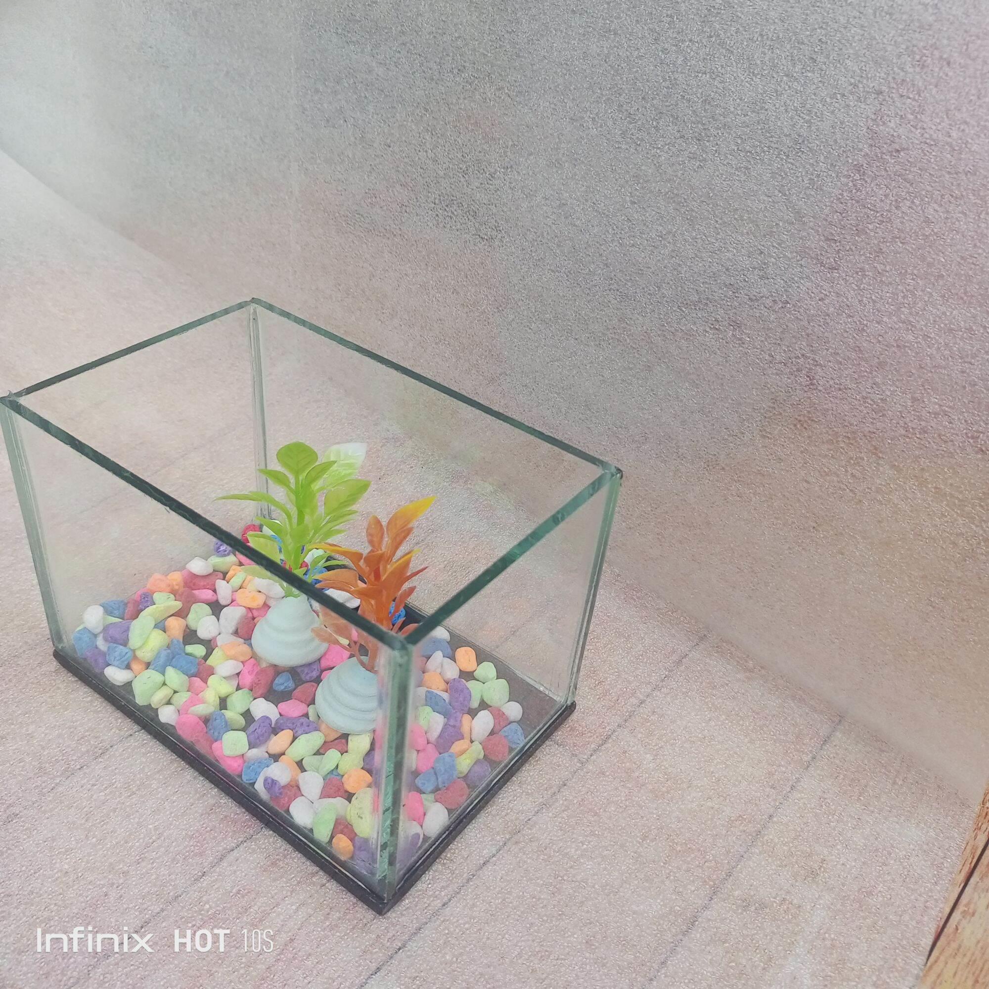 Aquarium Kaca ikan cupang satu set batu warna-warni Aquarium 15 X10 X 12 aquarium tanaman hias akuarium 15 10 12 Soliter ikan cupang akuarium komplit tank kaca Akuarium minimalis Kotak kaca untuk pelihara ikan kecil tank kaca Akuarium minimalis set hiasan