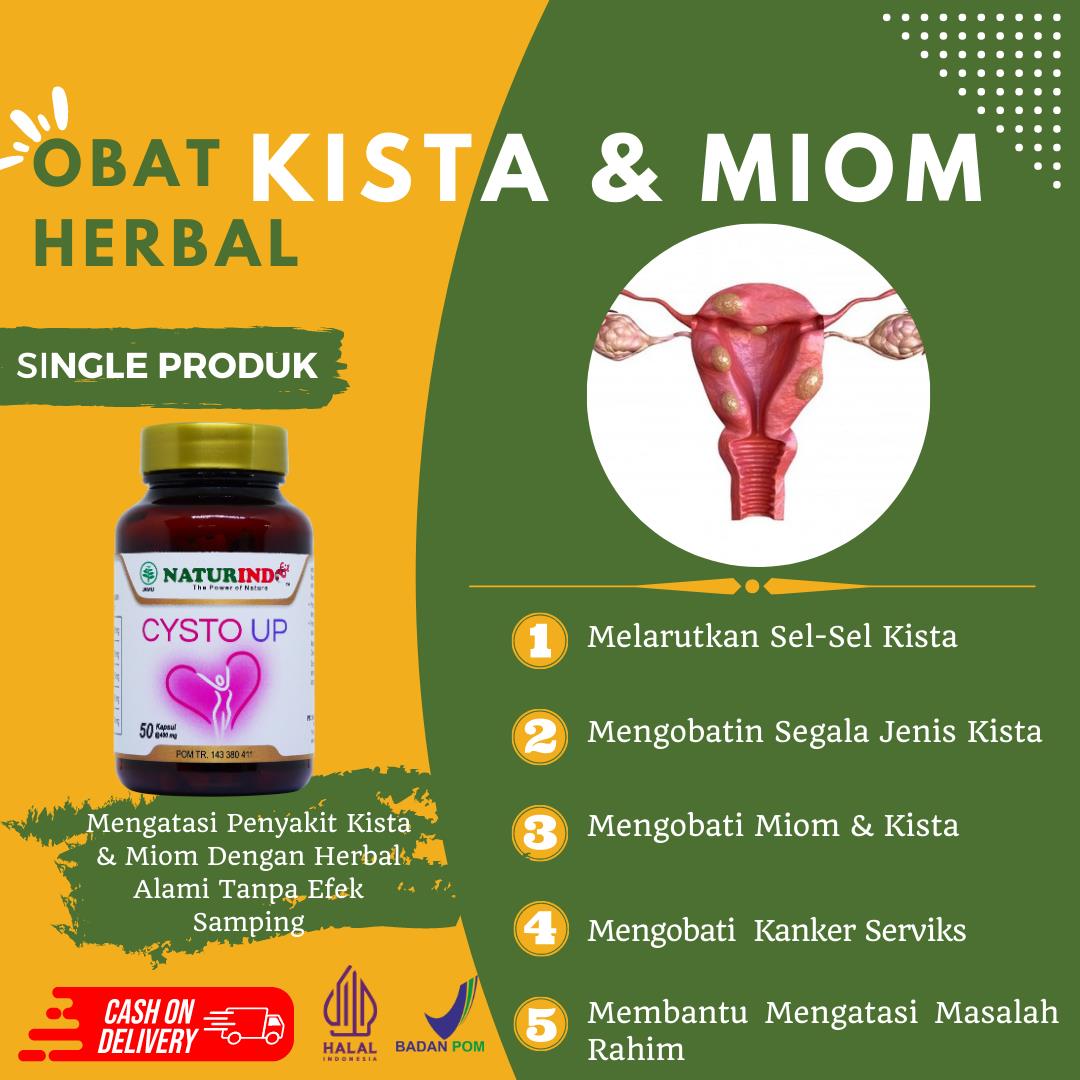 Cysto Up Obat Miom Dan Kista 5 - 10 cm Herbal Kista Paling Ampuh Benjolan Miss V Bartholin Naturindo