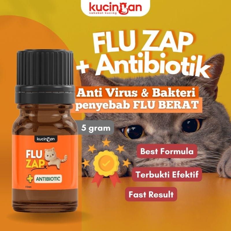 KUCINGAN FLU ZAP Obat Flu Antibiotik Flu Berat Menahun Batuk Pilek Guard