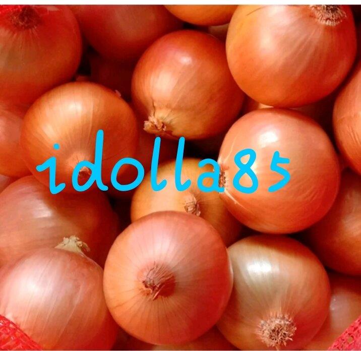 BAWANG BOMBAY 1 KILOGRAM