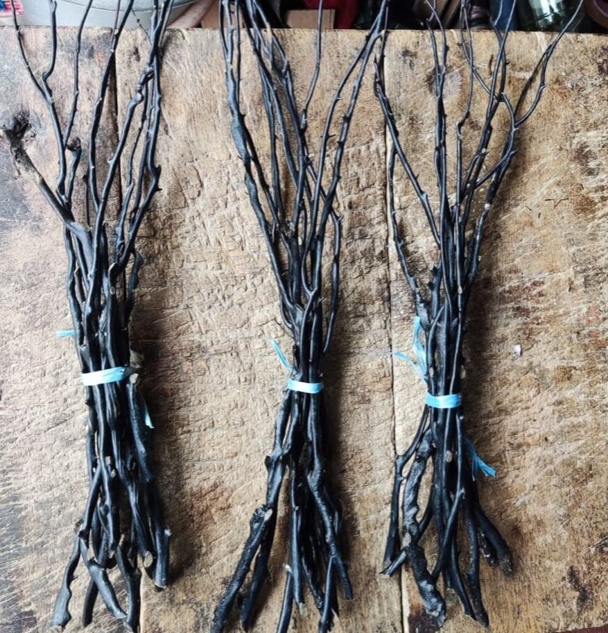 Bahan akar Bahar hitam kualitas grade A paling murah