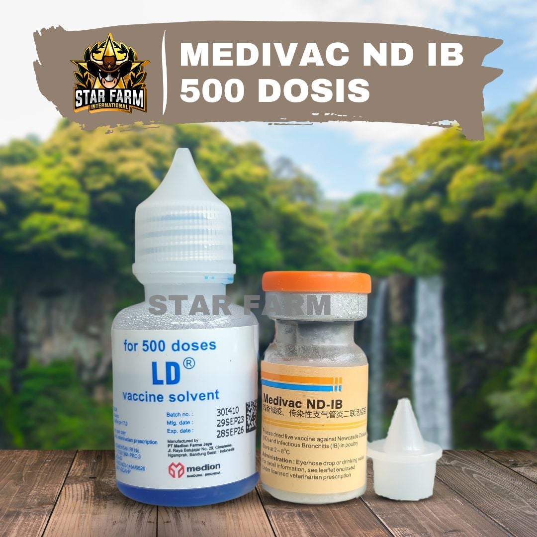 Vaksin Medivac ND IB 500 Dosis Mencegah ND & IB Pada Unggas