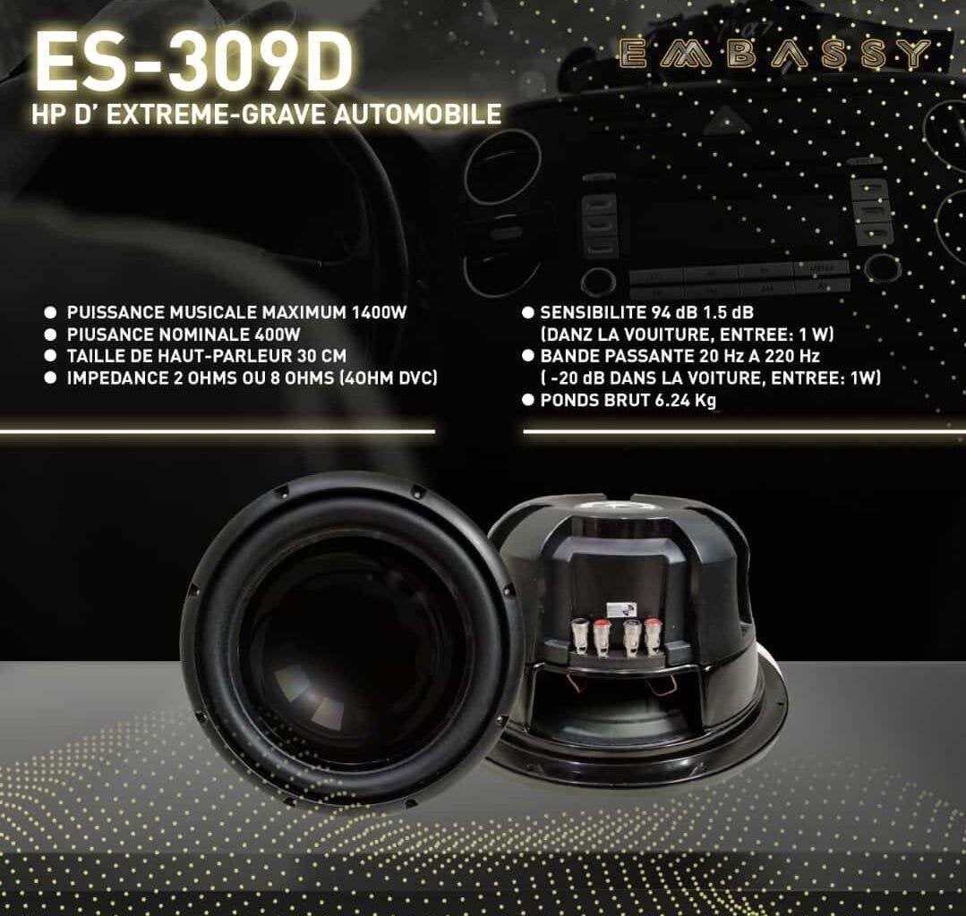 Subwoofer 12inch Embassy ES 309D