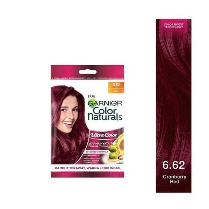 Garnier Natural Hair Color Pewarna Cat Rambut Colour