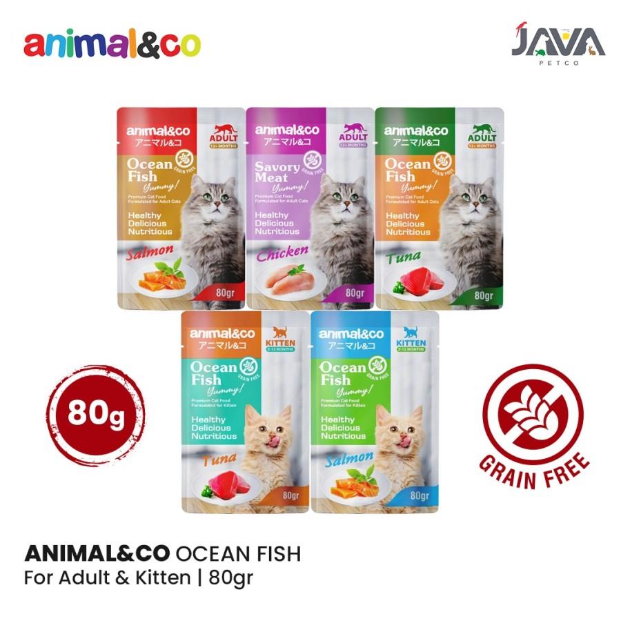 Animalnco anc sachet pouch 80gr makanan kucing basah animal&co