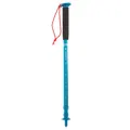 Decathlon 1 First Price Country Walking Pole A100 - Blue Forclaz