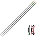 Decathlon Carbon Arrows Tri-Pack Discovery 300 Geologic