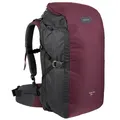 Decathlon Travel Backpack 40L - Bordeaux Forclaz