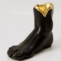 Antartidee Foot Vase Black & Gold
