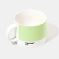 Pantone Tea Cup Light Green 578