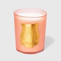 Trudon Tuileries Great Candle 3kg