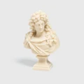 Trudon Louis XIV Bust Stone