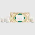 Palm Beach Collection Candle Trio Collection Set 70g 3pce