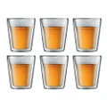 Bodum Canteen Double Walled Thermo Glasses 200ml Set 6pce