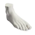 Seletti Memorabilia Mvsevm Porcelain Male Foot White