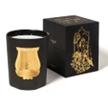 Trudon Mary Candle Great 3kg