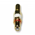 Single RCA Wall Plate Coupler, Red Indicator (Gold Plated)