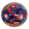 Spiderman 23cm Ball - V2